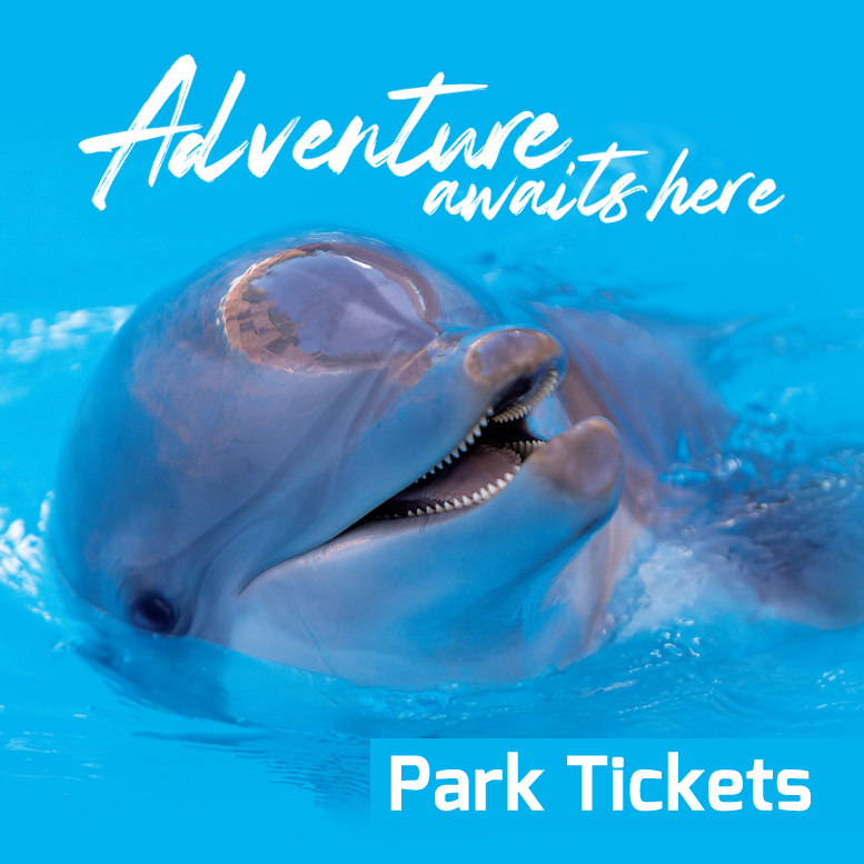 Park Tickets