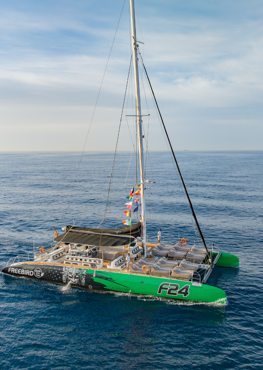Catamaran