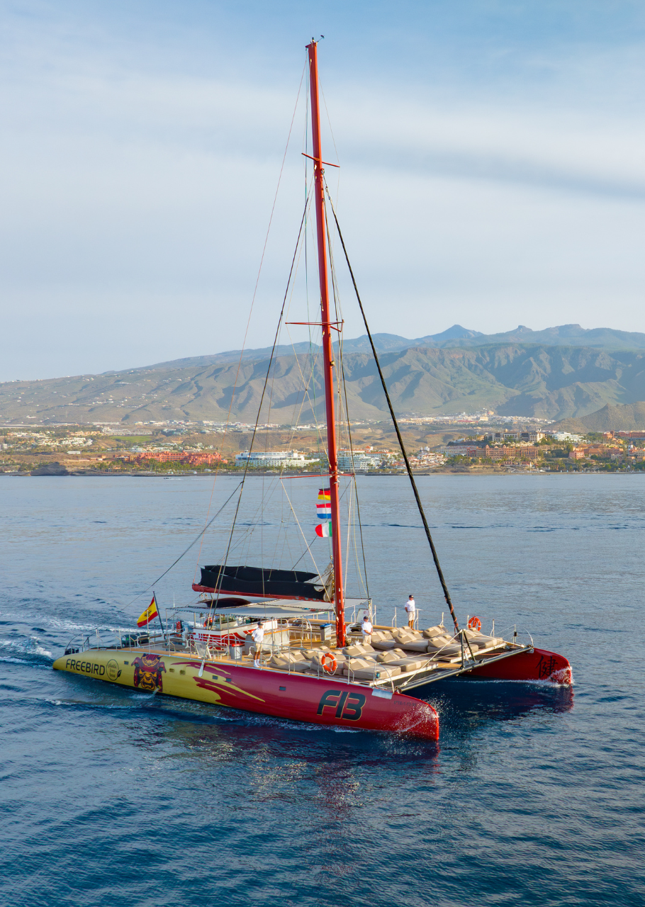 Catamaran
